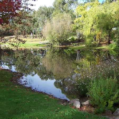Granite Gardens Cottages & Lake Retreat スタンソープ エクステリア 写真
