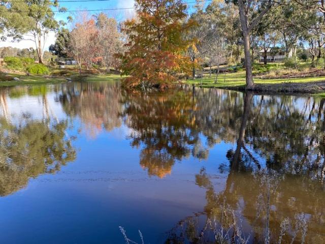 Granite Gardens Cottages & Lake Retreat スタンソープ エクステリア 写真