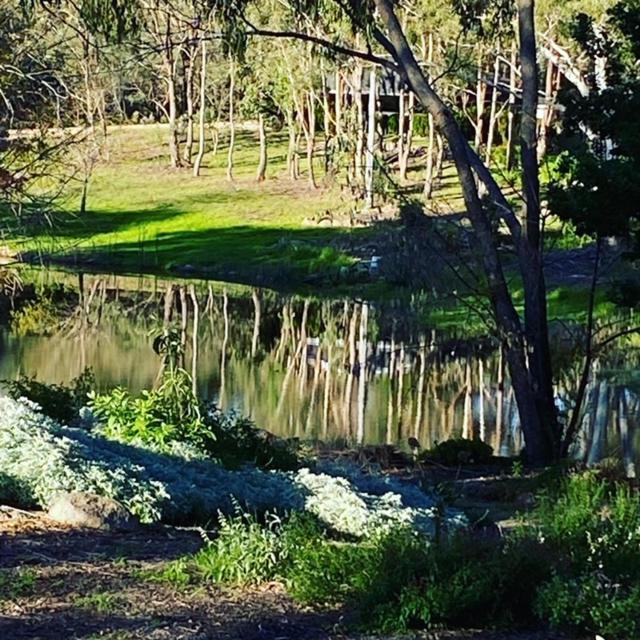 Granite Gardens Cottages & Lake Retreat スタンソープ エクステリア 写真