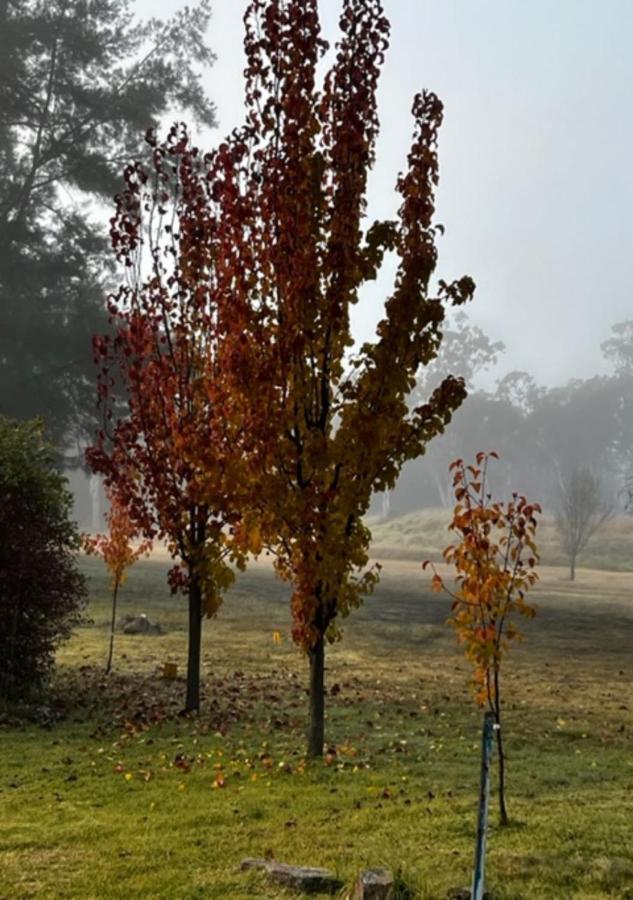 Granite Gardens Cottages & Lake Retreat スタンソープ エクステリア 写真