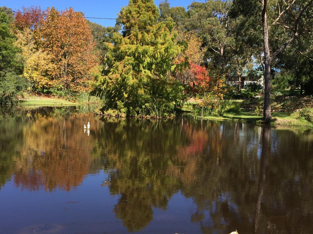 Granite Gardens Cottages & Lake Retreat スタンソープ エクステリア 写真
